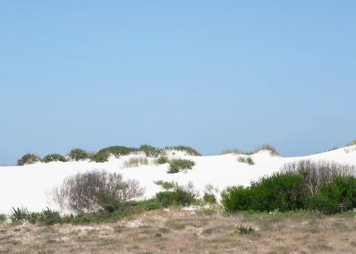 Barra Beach House - Praia Da Barra