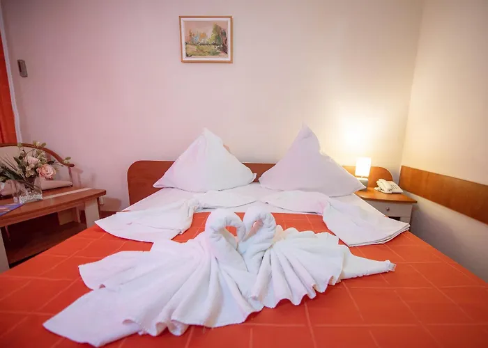 Hotel Doina