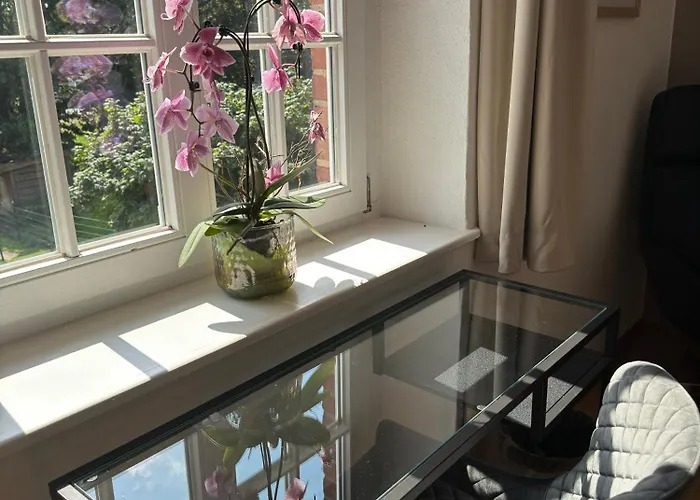 Hotel Fokus