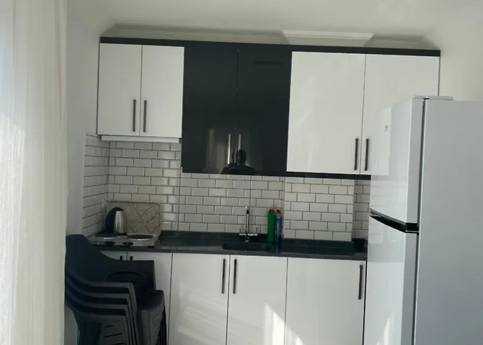 Dogan Suit Apart