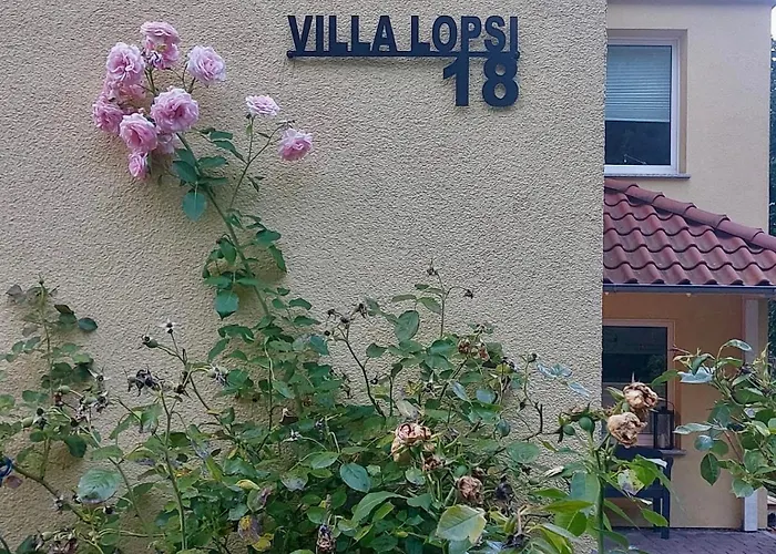 Little Lopsi