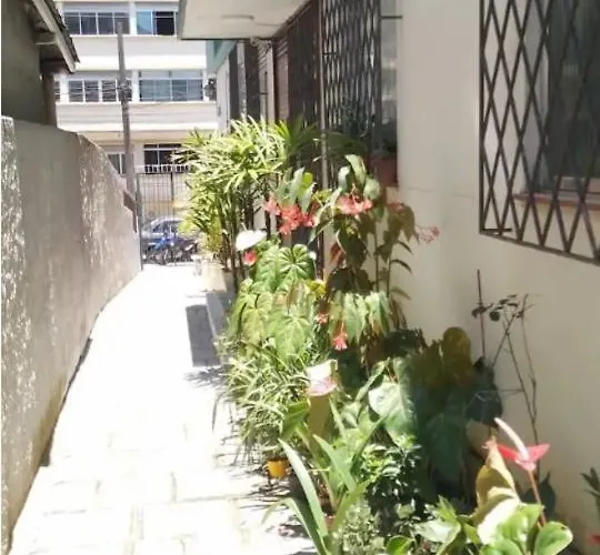 Pertinho de tudo 3