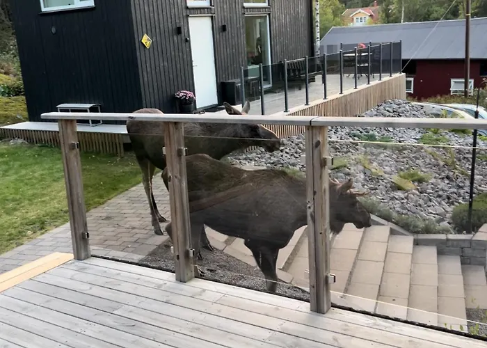 Cabin In The Woods, Close To Lake Maelaren