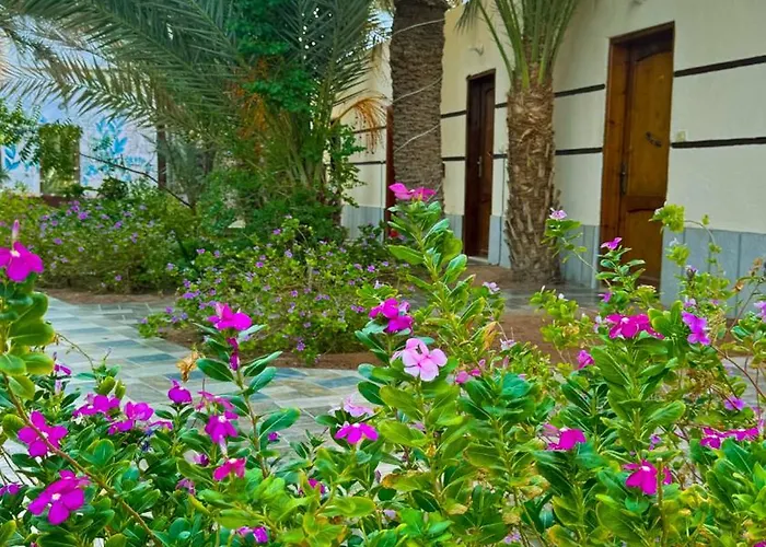 Miramar Camp Dahab