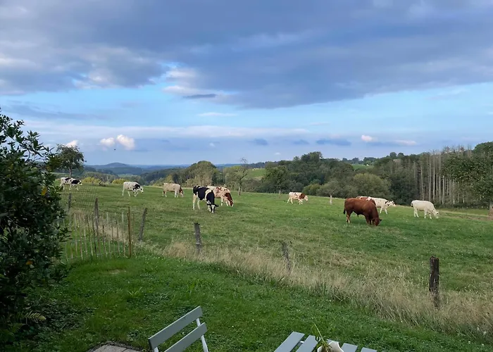 Fewo Landliebe