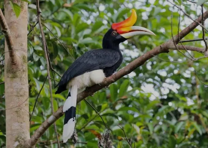 Lawang Inn Restaurant & Jungle Trek