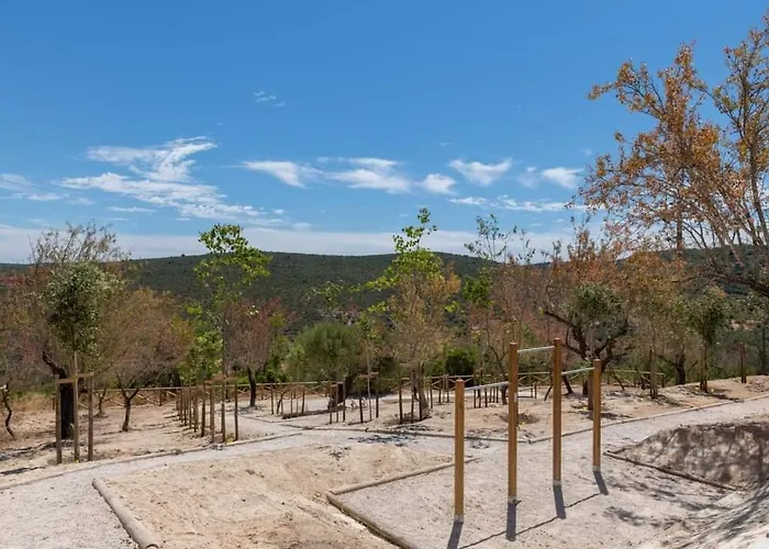 "Casa Oliveiras" Studio Avec Terrasse Et Piscine
