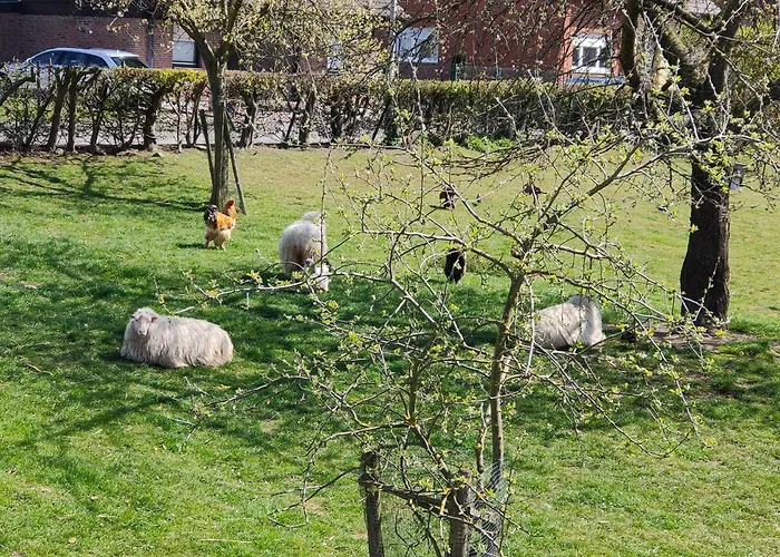 Neue Ferienwohnung 'Caracterre' auch Monteur- und Langzeitvermietung