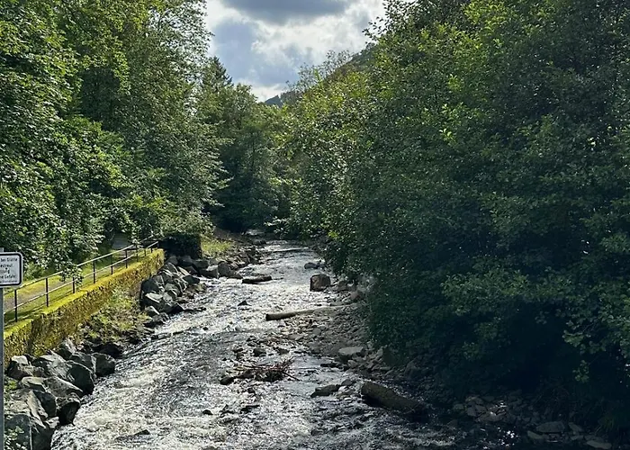 Ferienbutzen Harz in Sieber