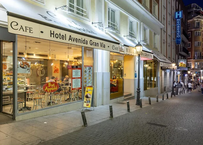 Hotel Avenida Gran Via