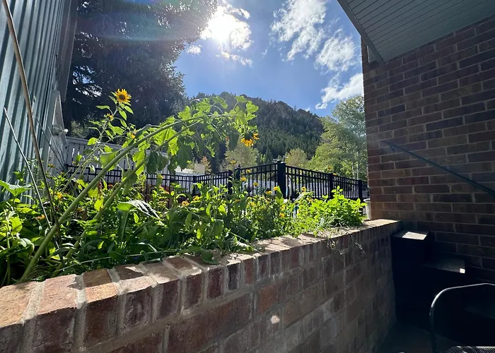 Shadow Mountain Lodge