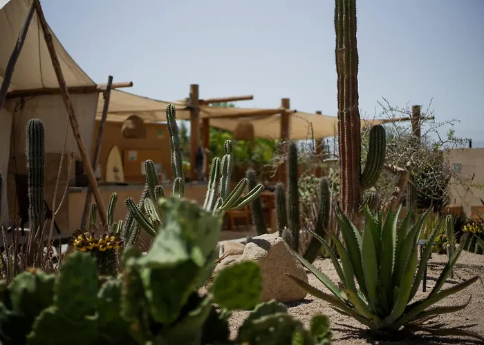 Baja Temple