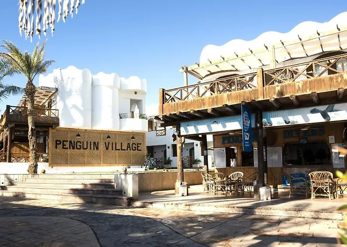 Penguin Village Dahab
