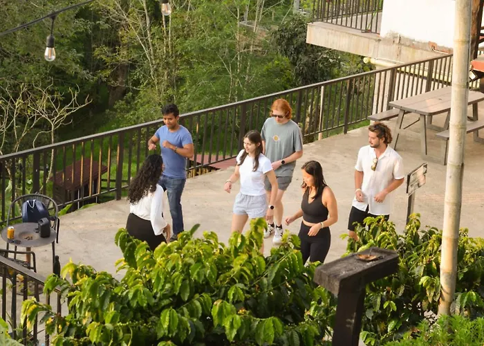 Coffee Tree Boutique Hostel