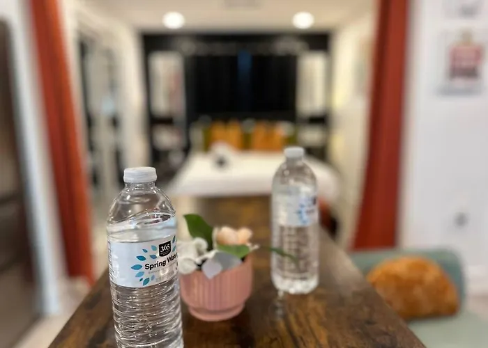 Luxury Suite In Dtw/Free Parking