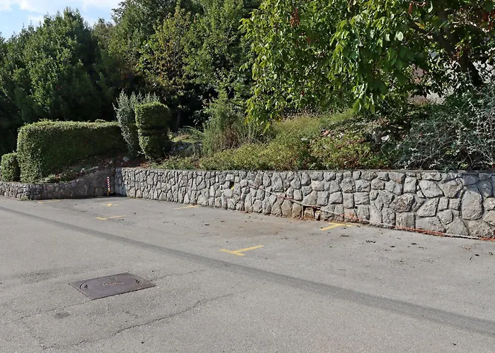 Apartments With Parking Space Icici, Opatija - 7788