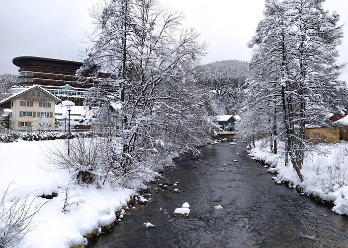 Ferienwohnung, Sauna&Gästekarte gratis im Schwarzwald