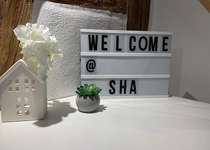 Zentrale Altbauwohnung mit Flair