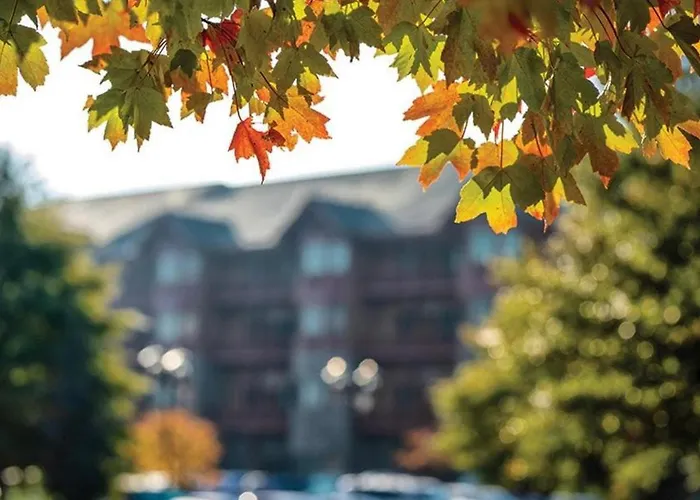 Great Smokies Lodge Sevierville By Hellovacay