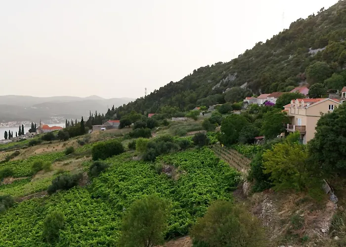 Apartman Dani