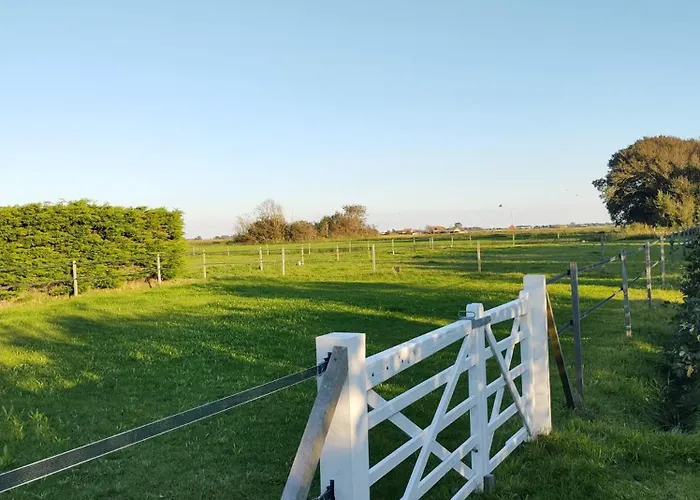 B&B Buiten Gewoon Callantsoog