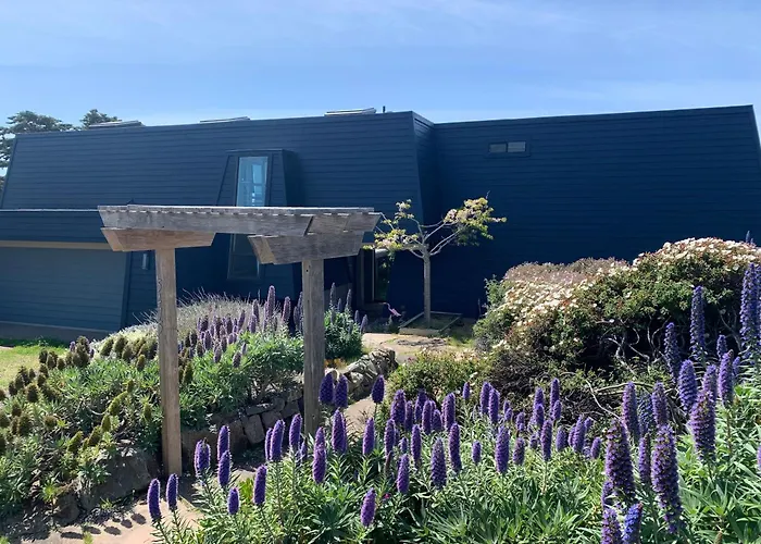 Bodega Bay Magical Ocean Front W/Amazing View!