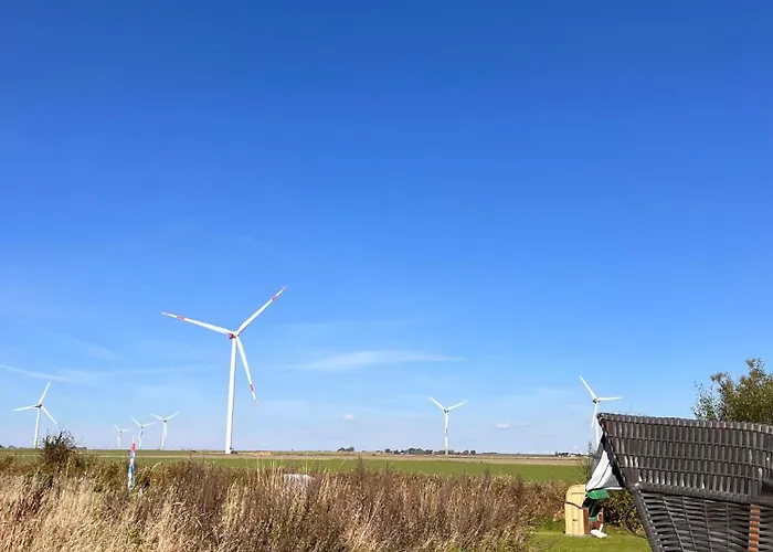 Moewenkiek