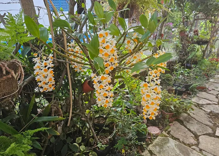 Pousada Thermas das Montanhas