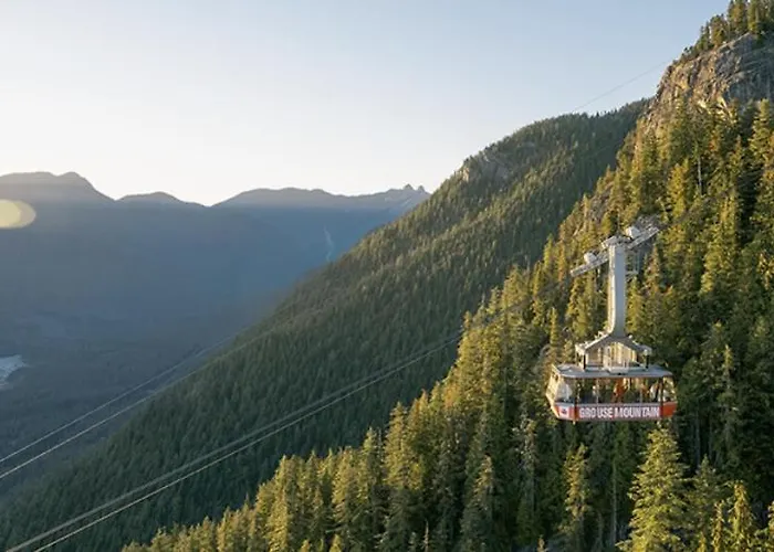 Stunning 1-Bedroom Condo In The Heart Of Vancouver