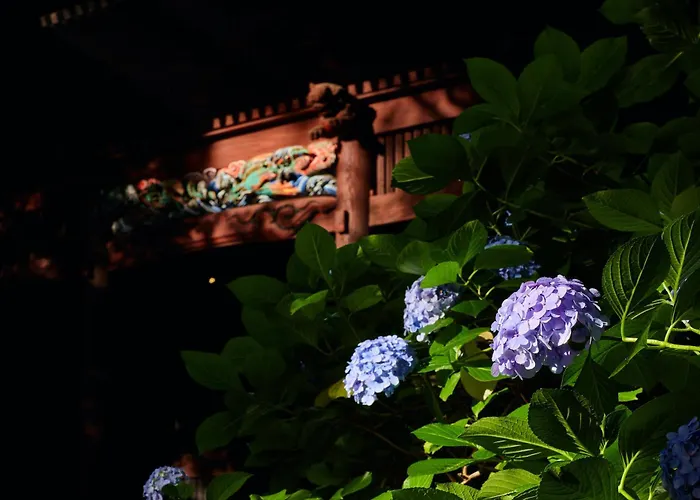 Kamakura Hotel