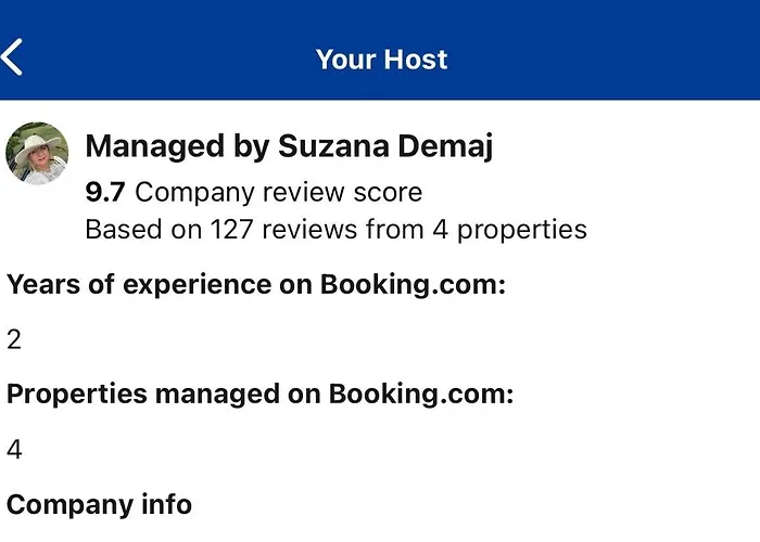 Cozy Boston Getaway Apartment Perfect For 2026 World Cup Visit, Free Parking