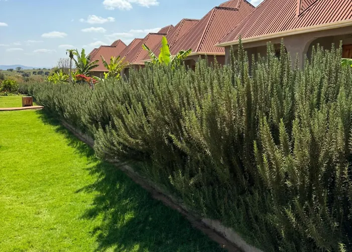 Heart And Soul Lodge