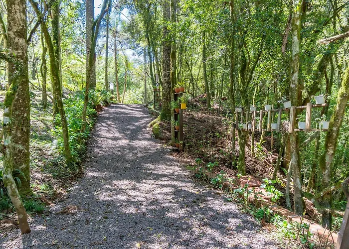 Quintal do Garnizé - Unidade Beija-Flor