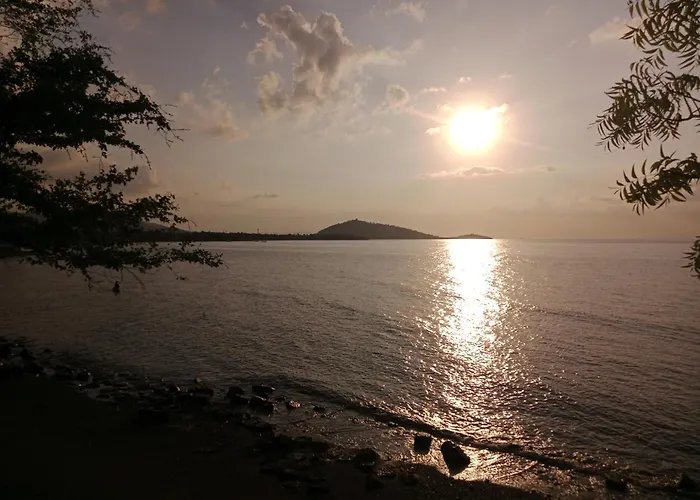 The Beach Bungalows & Turtle Sanctuary