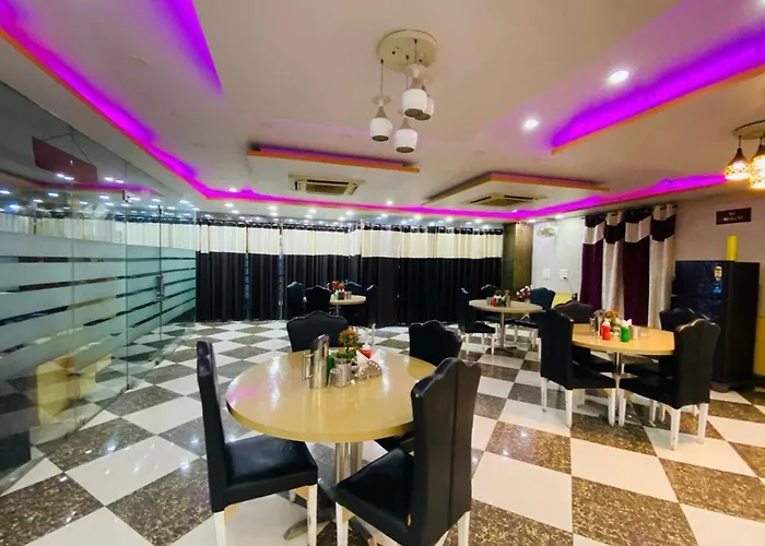 Hotel Basant Vihar International