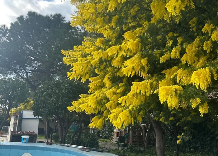 Hotel Villa La Colombaia
