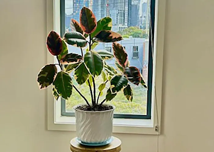 Superb City Views - Apartment, Work Or Just Relax!