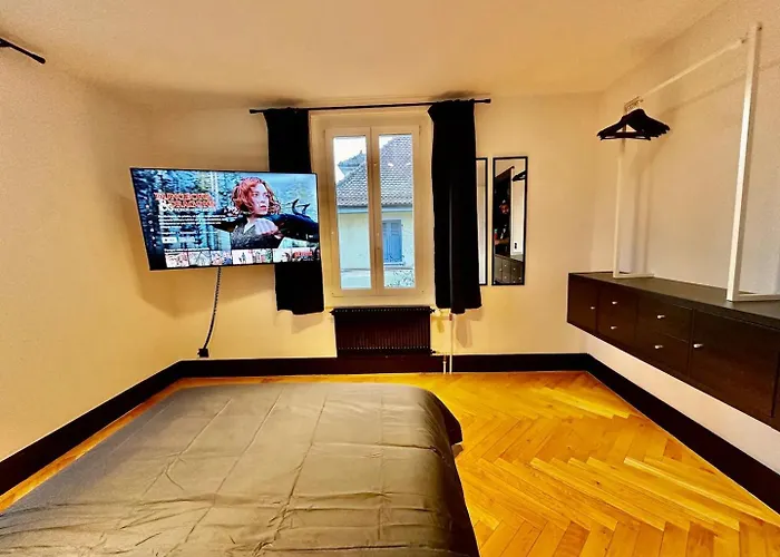 Cosy Apartments In Lausanne