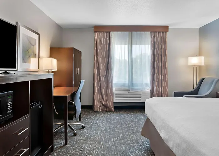Best Western Plus Flint Airport Inn&Suites