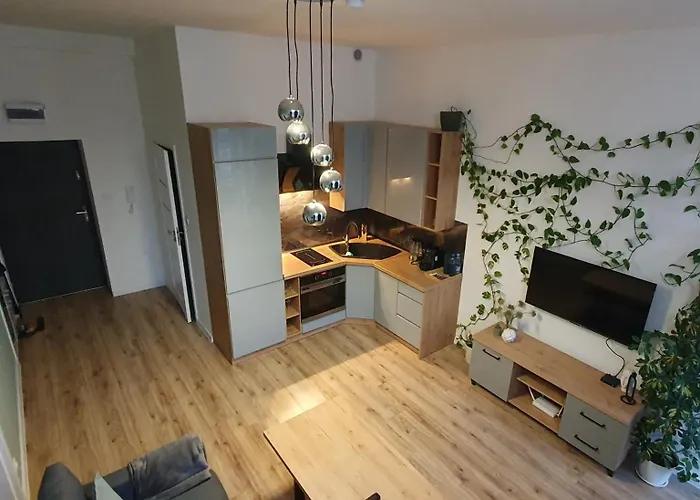 Apartament Green Loft Centrum