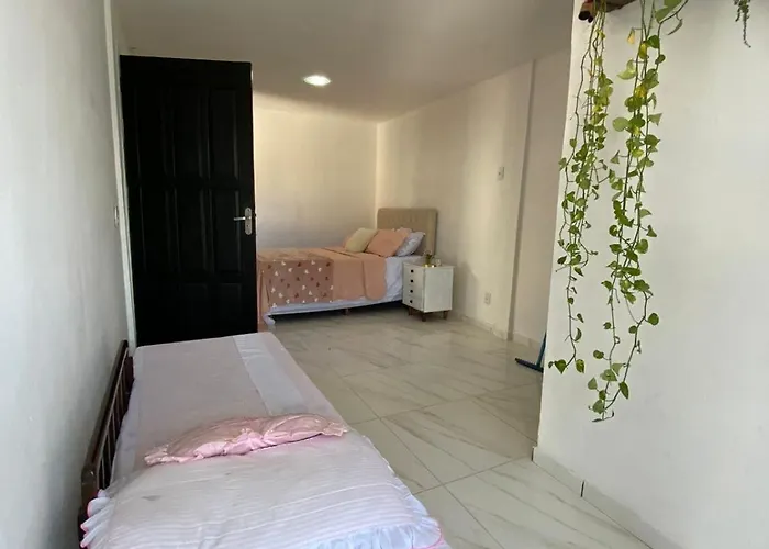 Duplex Piuma