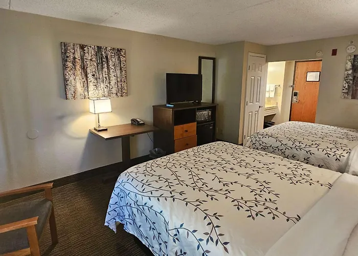 Americinn By Wyndham Birch Run - Frankenmuth