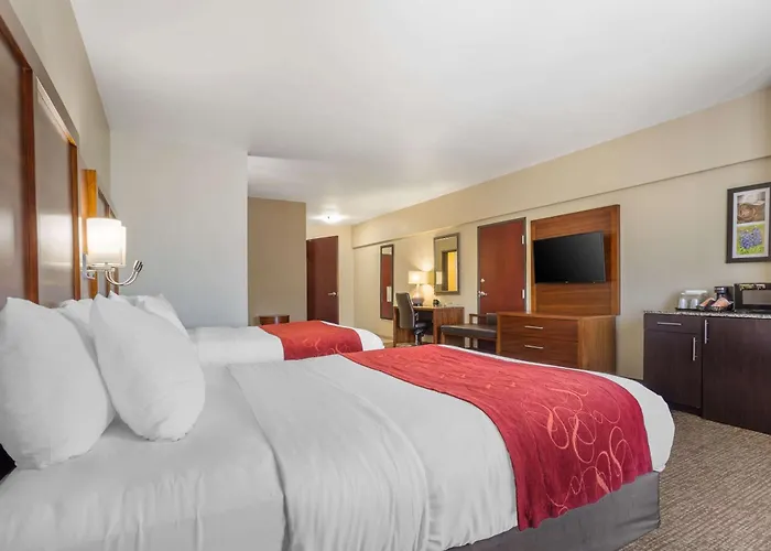 Comfort Suites Old Town Spring