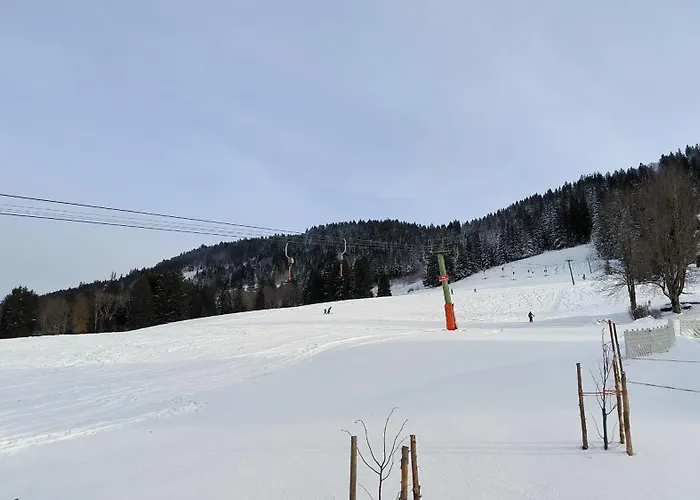 FeWo Allgäuerle1604 mit Hallenbad, Sauna und WLAN