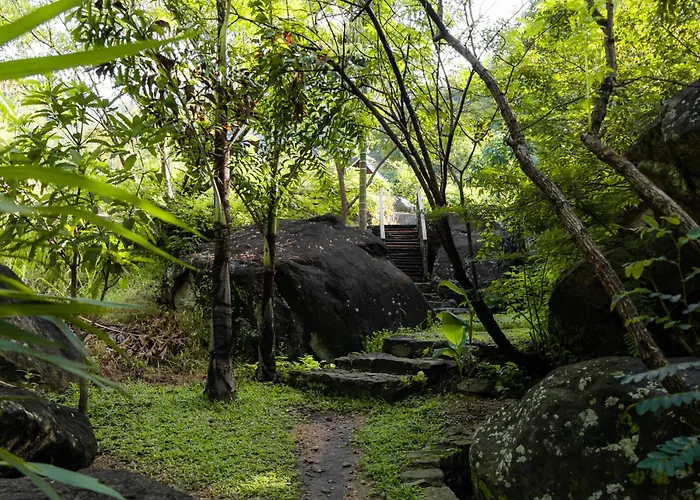 Forest Heaven Eco Resort