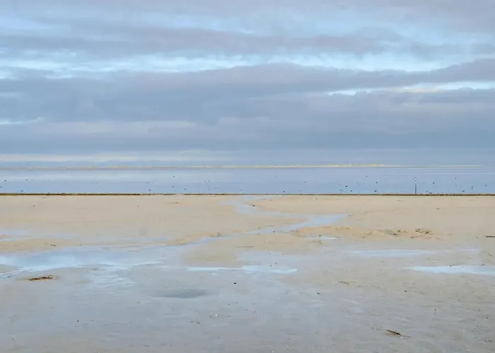 Ferienwohnung Langeoog - b68178
