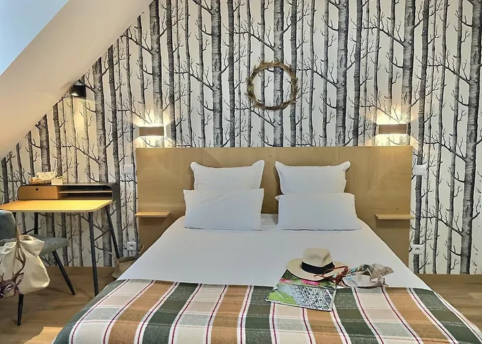 Logis Hotel Du Cygne