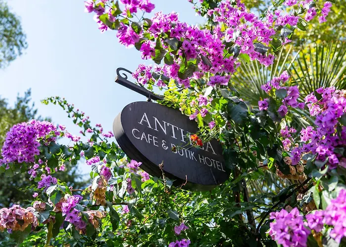 Anthea Butik Otel