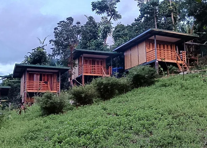 The View - Jungle Lodges - Port Barton