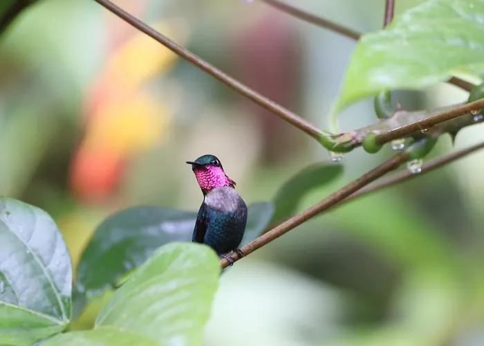 Rio Quijos Ecolodge